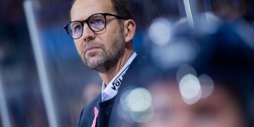 Deutschen Eishockey Liga: Stürmer Bittner kehrt zur Düsseldorfer EG zurück