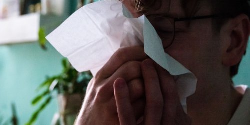 Krankheiten: Fallzahlen sinken: Ende der Grippewelle in Sachsen in Sicht