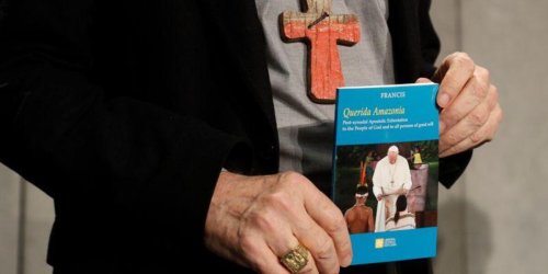 „Papstschreiben nicht für unsere eigenen Ziele missbrauchen“ / Pfarrer über enttäuschte Erwartungen an Amazonasschreiben