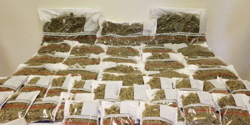 Polizei stellt knapp 100 Kilo Marihuana sicher – zwei Festnahmen