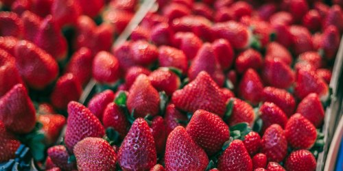 Supermarktregale sind voll: Warum Sie im April noch keine Erdbeeren kaufen sollten