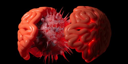 Attackiert Nervenzellen: Corona infiziert Glückszentrum im Gehirn – das sind die Warnzeichen