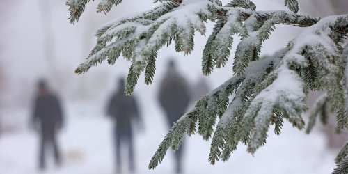 Wetter: Sachsenforst warnt vor Schneemassen in sächsischen Wäldern