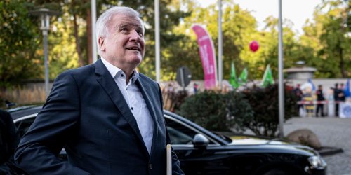 Bericht: Ex-Innenminister Seehofer wies Geheimdienst an, AfD-Gutachten abzumildern