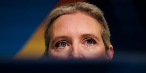 Repräsentative Umfrage: Mehrheit der Unions-Wähler lehnen AfD-Leitung von Bundestagsausschüssen ab