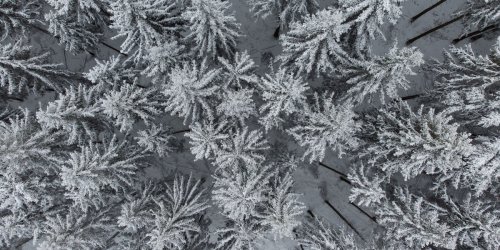 Vorhersage: Winterliches Wetter in Niedersachsen und Bremen