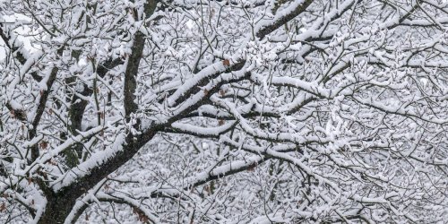 Wetter: Schneelast: Dach von Straubinger Eisstadion wird geräumt