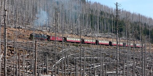 Bahnverkehr: Harzer Schmalspurbahn steht nach Brand nahe Brocken still
