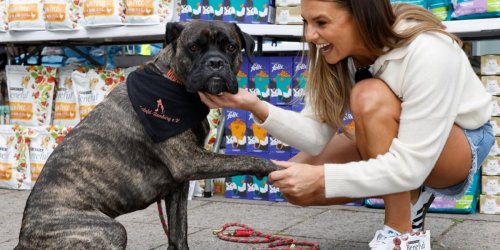 Sie hilft Tieren in Not: Laura Wontorra: Ihr Hund Milo bedeutet für sie Ruhe und Halt