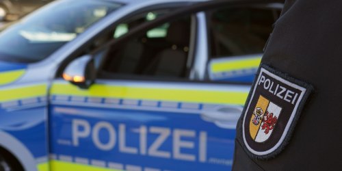 Unfälle auf Autobahnen: Adler und Schwan verenden bei Zusammenstößen mit Autos