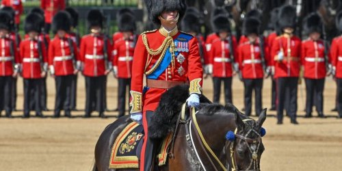 Drei Soldaten brechen zusammen: Prinz William leitet letzte Geburtstagsparaden-Probe