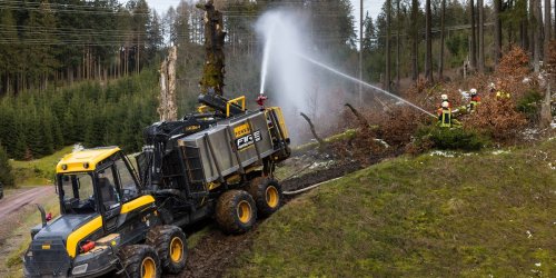 Natur: Forstexperte erwartet steigende Waldbrandgefahr