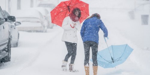 Bis zu minus 20 Grad: Schock-Kälte in ganz Deutschland! So schützen Sie Auto, Hund, Haus und Körper