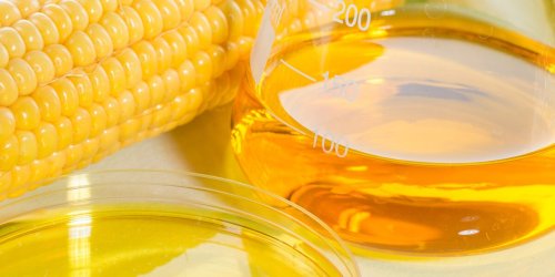 Ist Fructose so gefährlich wie Alkohol?