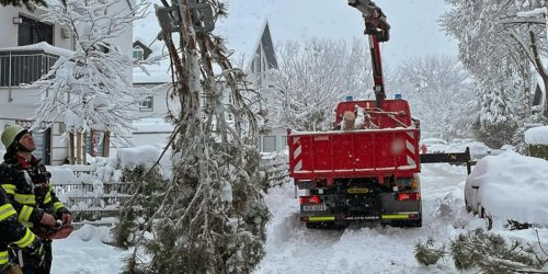 Feuerwehr München: FW-M: Bilanz der schneebedingten Einsätze (Stadtgebiet)