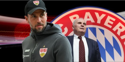 Rückkehr nach München?: Bayern-Bosse denken an Stuttgarts Erfolgsbringer Hoeneß als Tuchel-Nachfolger