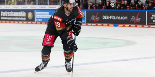 Transfers: Adler holen Eishockey-Profi Fohrler zurück: Vey geht