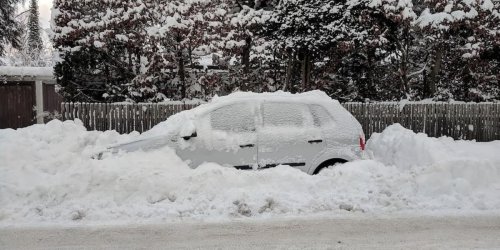 Kein Kratzen, kein Strafzettel: Kennen Sie den Winter-Trick der E-Autos?