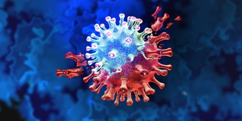 Drei Theorien zur Entstehung: Das Omikron-Rätsel: Was möglich ist, wenn ein Mensch das Virus 216 Tage in sich trägt