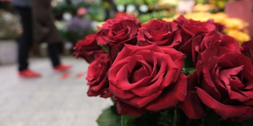 Brauchtum: Statistik: Valentinstag kein beliebter Tag zum Heiraten