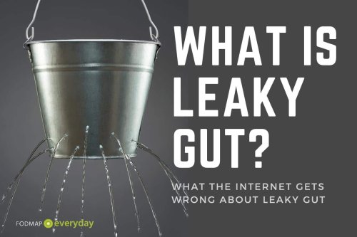 What the Internet Gets Wrong About Leaky Gut