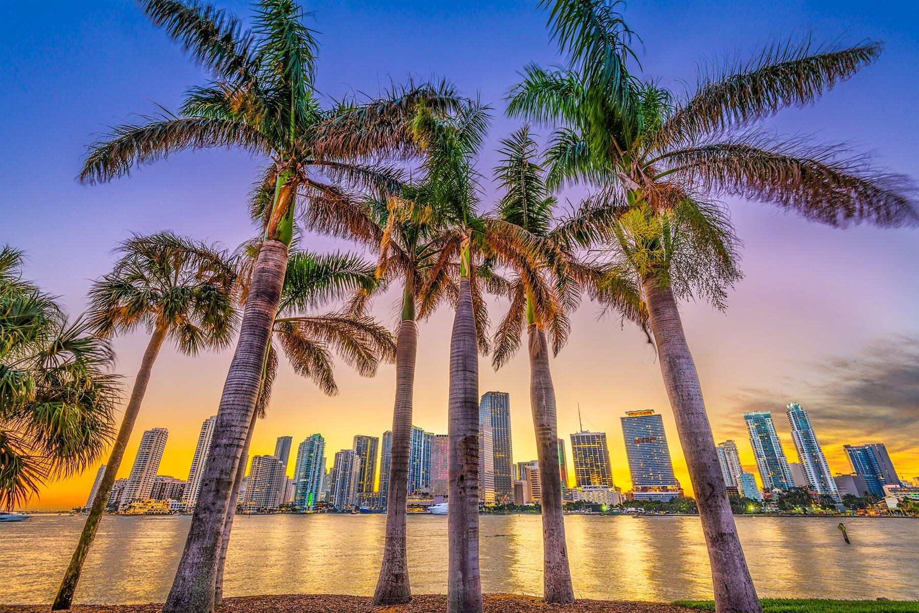 Miami Is So Much More Than South Beach