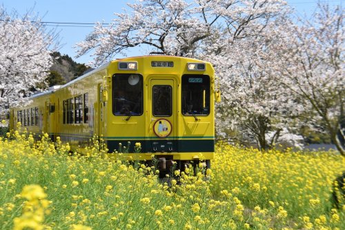 9 Whimsical and Wonderful Train Journeys Through Japan