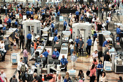 The 16 most outrageous things TSA intercepted this year