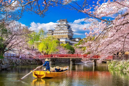 11 Things to Know Before Traveling to Japan