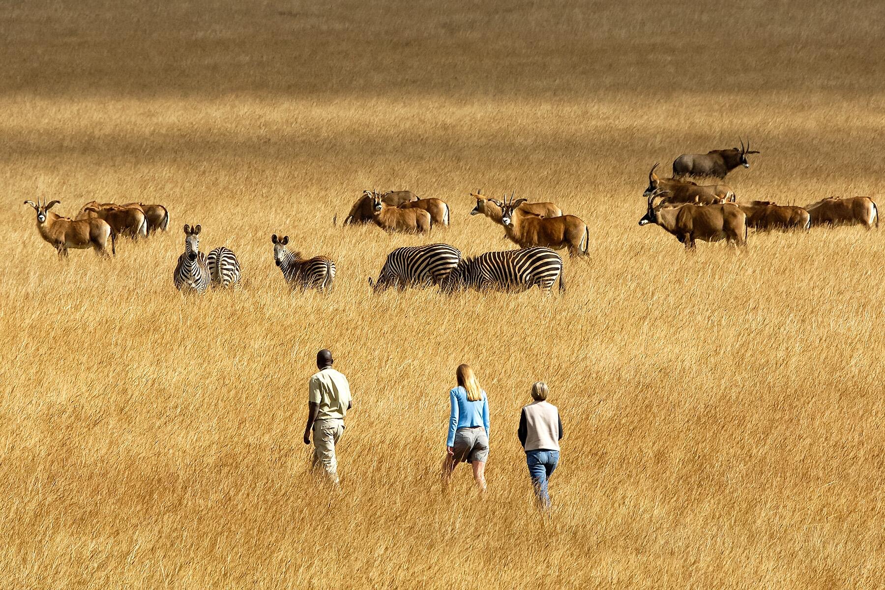 10 Ways You’re Planning Your African Safari All Wrong