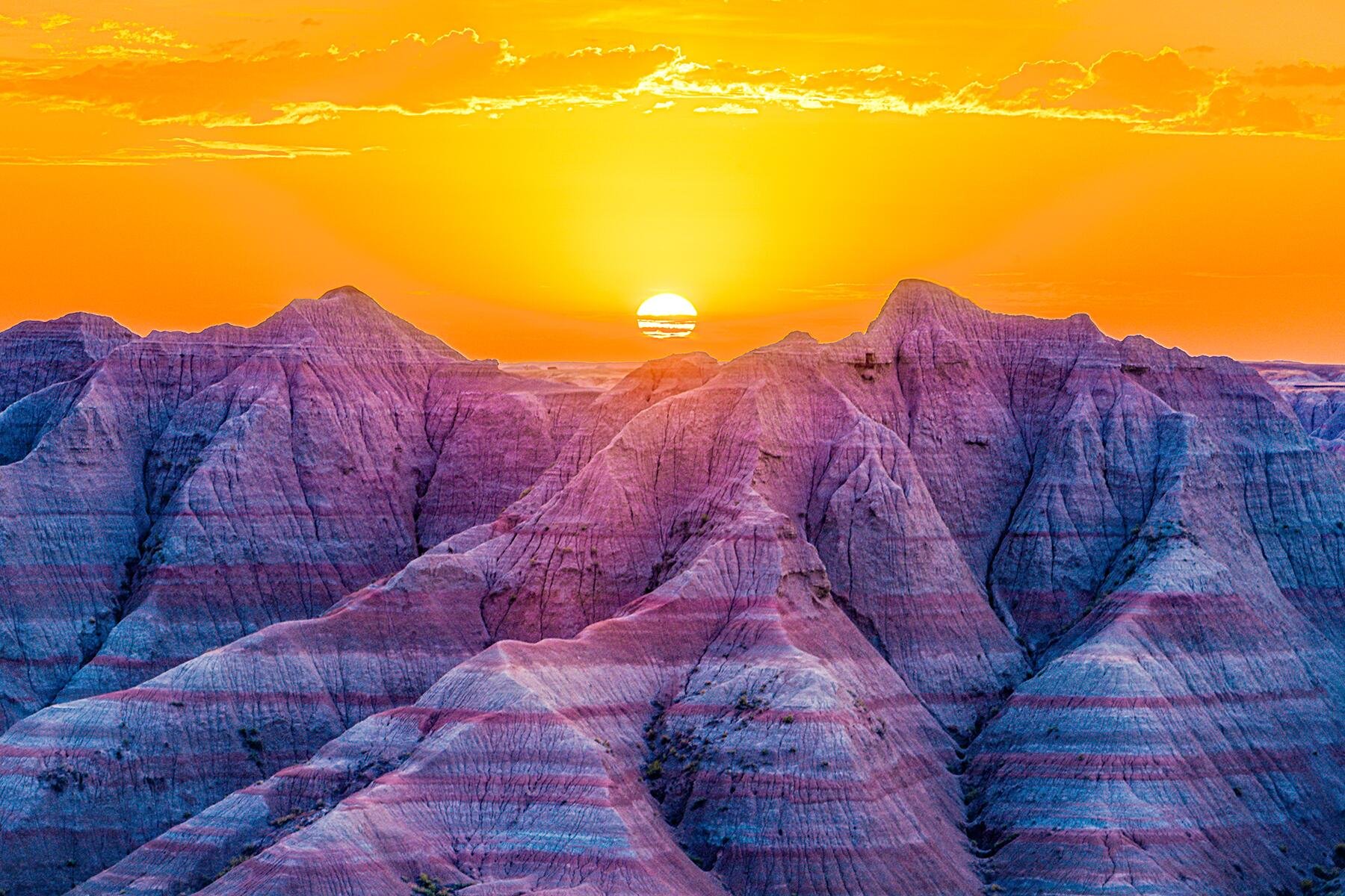 The One Thing You Have to Do in Every State