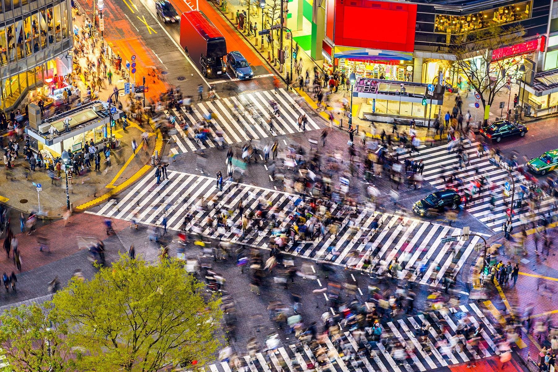 Manga Artist's July Earthquake Prophecy Sparks Travel Panic: Japan's Tourism Takes a Hit