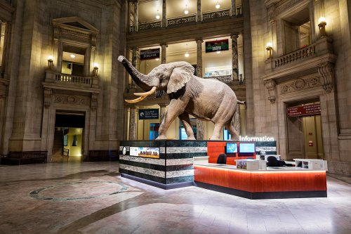 The 30 Best Museums in Washington, D.C.