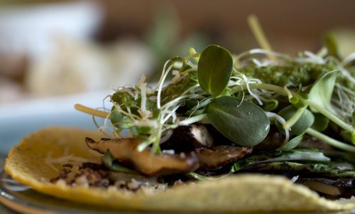 Grilled Mushroom & Bok Choy with Asian Cilantro Pesto Recipe on Food52