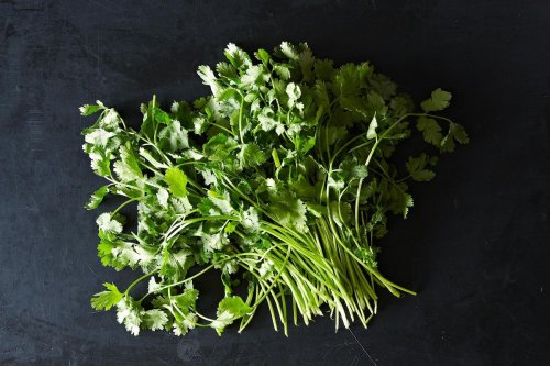 13 Fresh Herbs to Use More Often