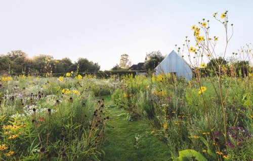 6 Ways to Add a Touch of Wildness to Your Garden