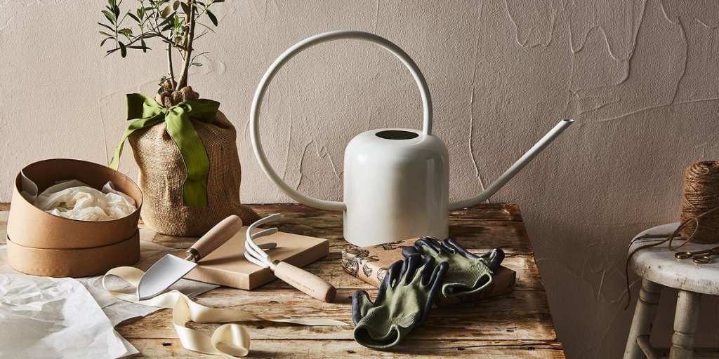 Life Hacks/Cleaning/Plants - cover