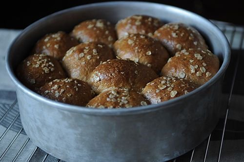Homemade Rolls for Novice Bakers