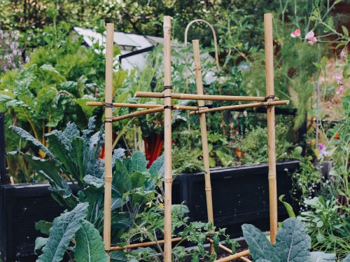 3 Ways to Build a Garden Trellis