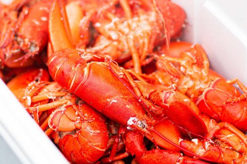 Whole Foods to Stop Buying Maine Lobster Until Sustainability Status Addressed