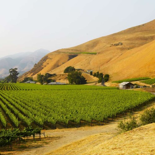 10 Best Paso Robles Wineries to Visit