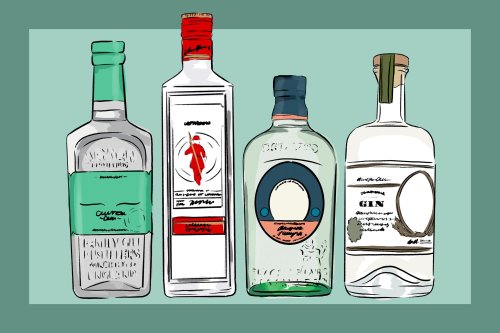 Understanding the 4 Main Types of Gin, According to Experts