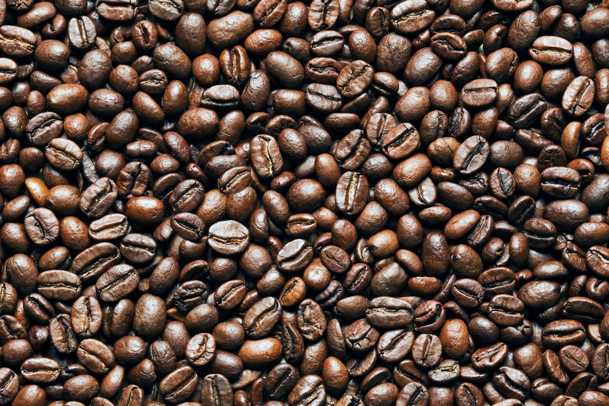 How to Store Coffee Beans So They Stay as Fresh as Possible