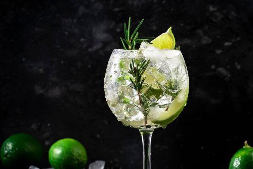 5 Best Tonics for a Gin and Tonic