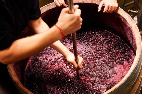 You'll Be Surprised by How Many Grapes it Takes to Make One Bottle of Wine