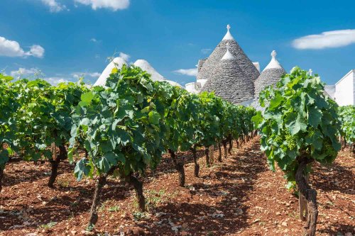 Why You Should Be Drinking More Wine from Sicily and Puglia