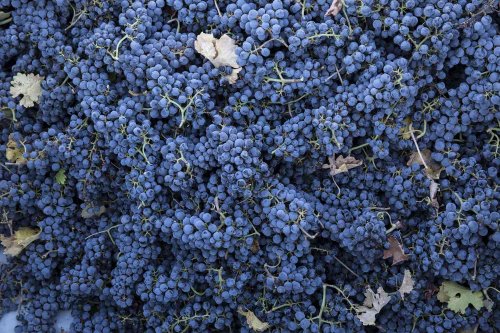 6 Amazing Cabernet Sauvignons For Less Than $15