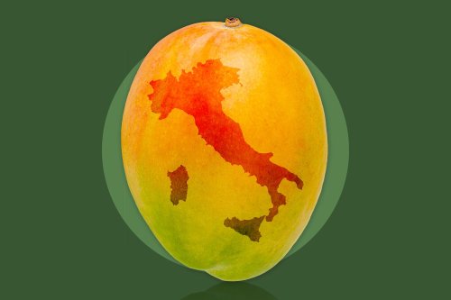 Mangos Are Now Thriving in the Most Unexpected Place