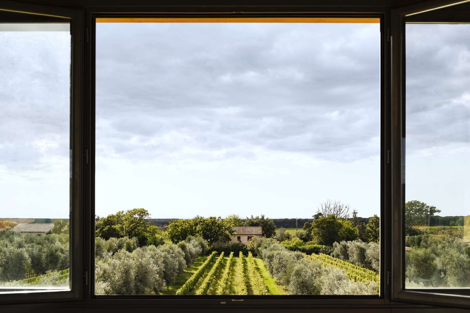 Where to Dine and Taste Local Wine in the Tuscan Region of Bolgheri
