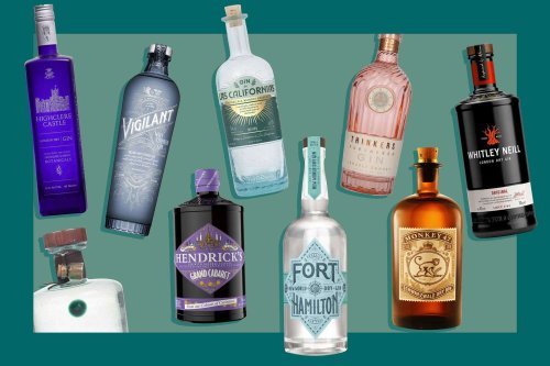 9 Best Gins for a Gin and Tonic